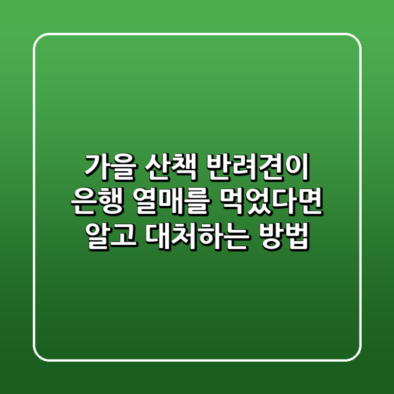 가을 산책 반려견이 은행 열매를 먹었다면 알고 대처하는 방법