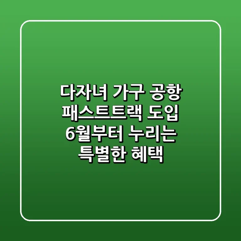 다자녀 가구 공항 패스트트랙 도입 6월부터 누리는 특별한 혜택