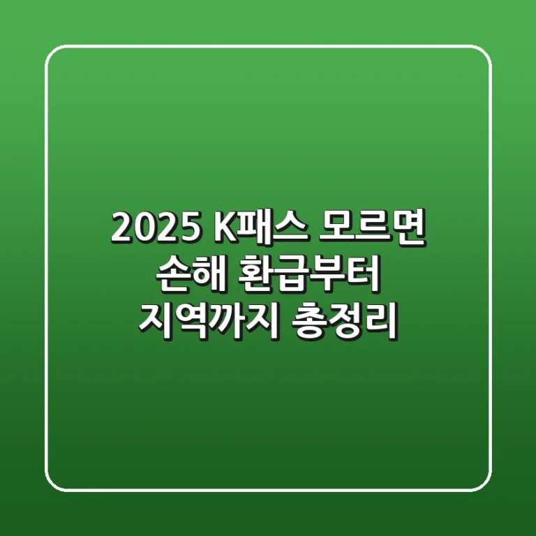 2025 K패스 모르면 손해 환급부터 지역까지 총정리