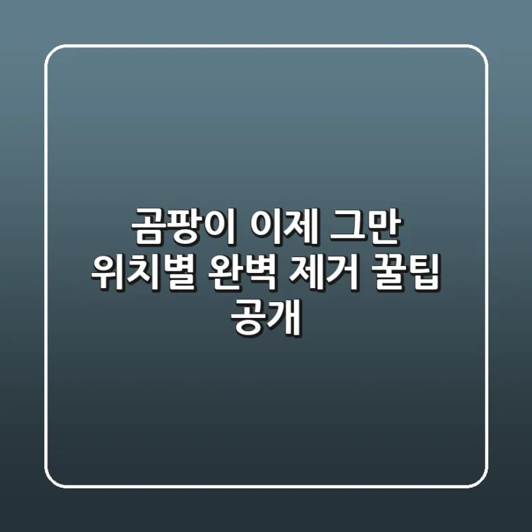 곰팡이 이제 그만 위치별 완벽 제거 꿀팁 공개