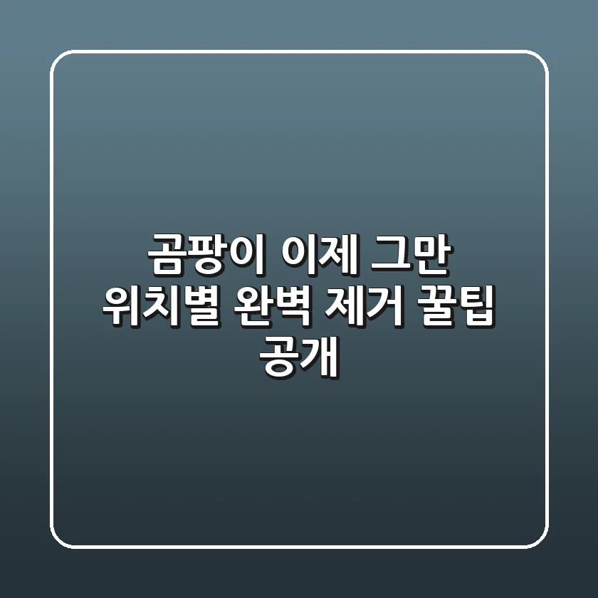 곰팡이, 이제 그만! 위치별 완벽 제거 꿀팁 공개