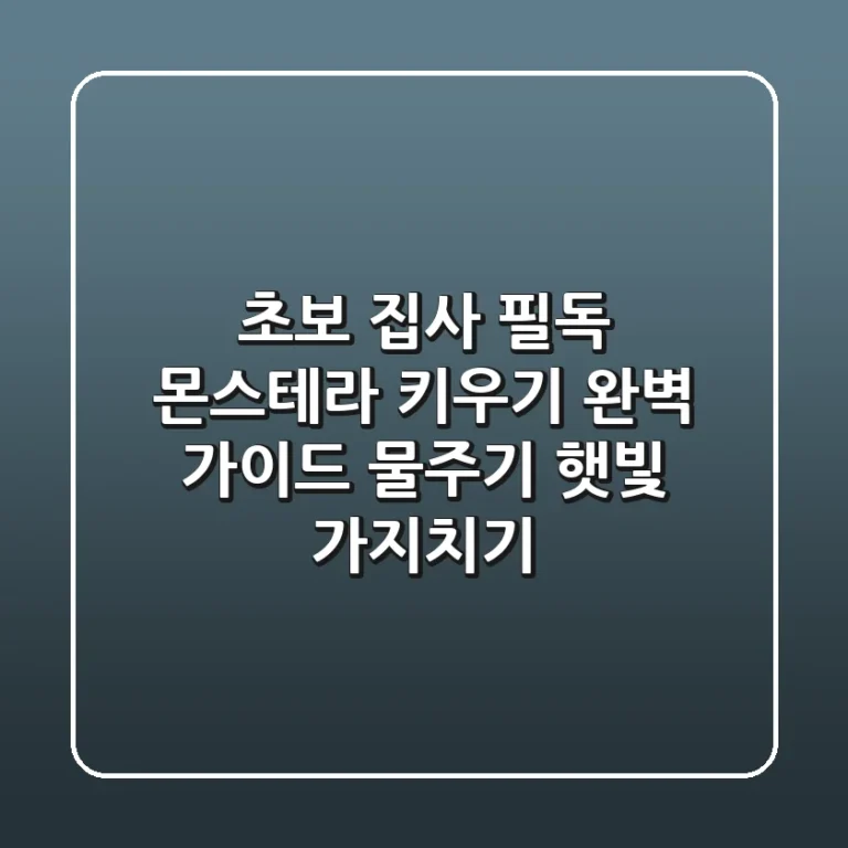 초보 집사 필독 몬스테라 키우기 완벽 가이드 물주기 햇빛 가지치기
