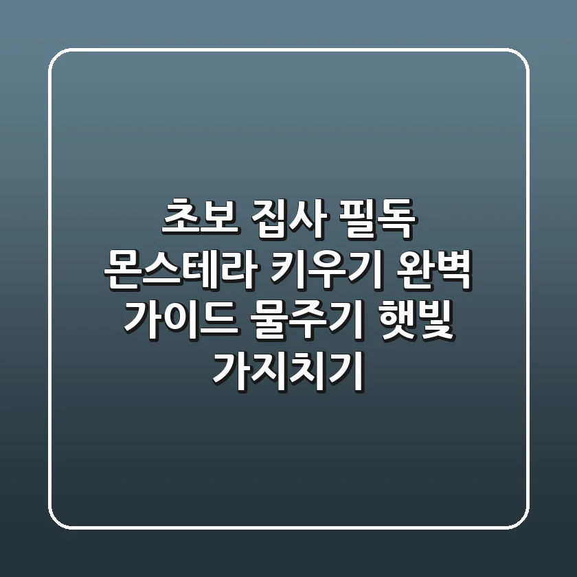초보 집사 필독! 몬스테라 키우기 완벽 가이드 (물주기, 햇빛, 가지치기)