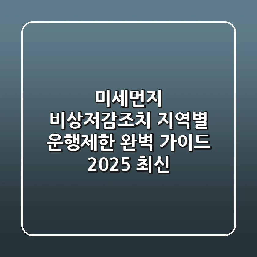 미세먼지 비상저감조치! 지역별 운행제한 완벽 가이드 (2025 최신)