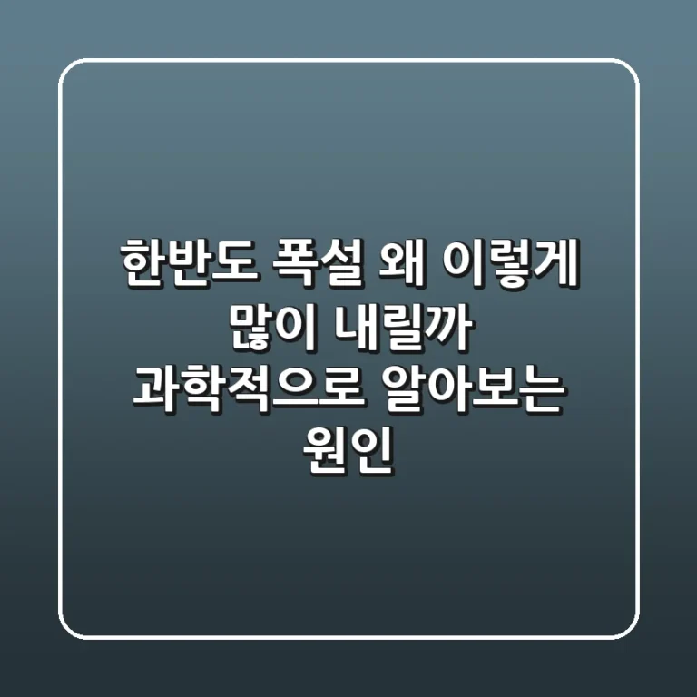 한반도 폭설, 왜 이렇게 많이 내릴까? 과학적으로 알아보는 원인