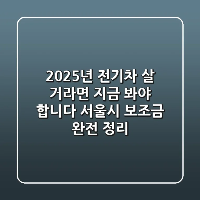 🔥 2025년, 전기차 살 거라면 지금 봐야 합니다! 서울시 보조금 완전 정리