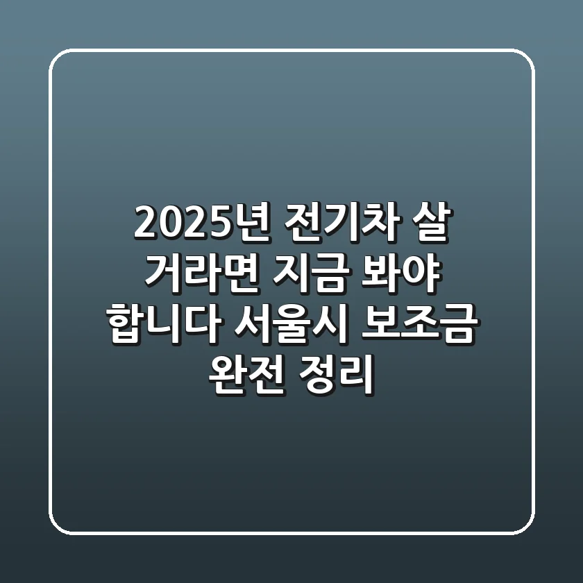🔥 2025년, 전기차 살 거라면 지금 봐야 합니다! 서울시 보조금 완전 정리