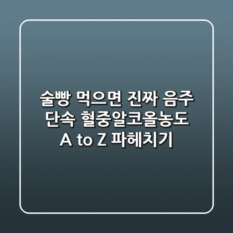 술빵 먹으면 진짜 음주 단속?! 혈중알코올농도 A to Z 파헤치기!