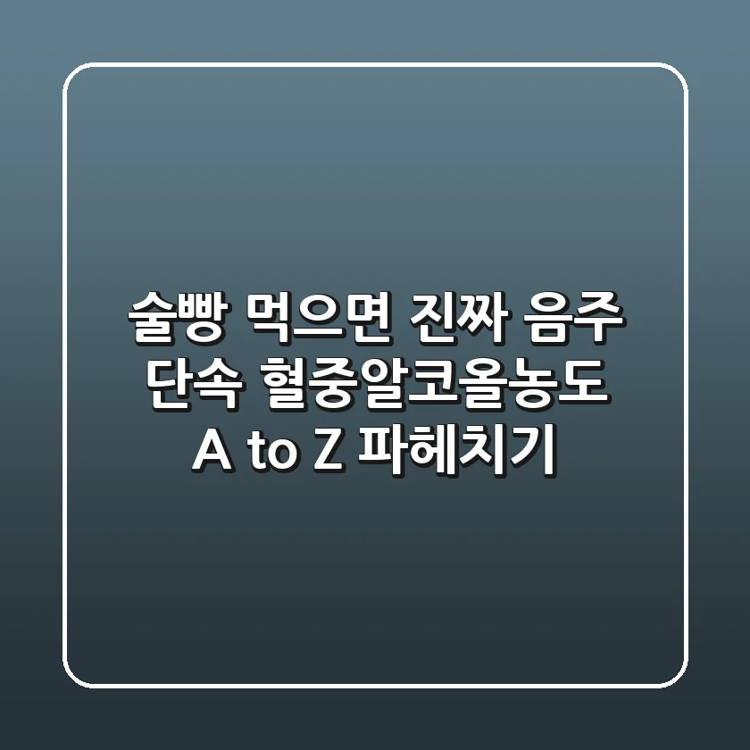 술빵 먹으면 진짜 음주 단속?! 혈중알코올농도 A to Z 파헤치기!
