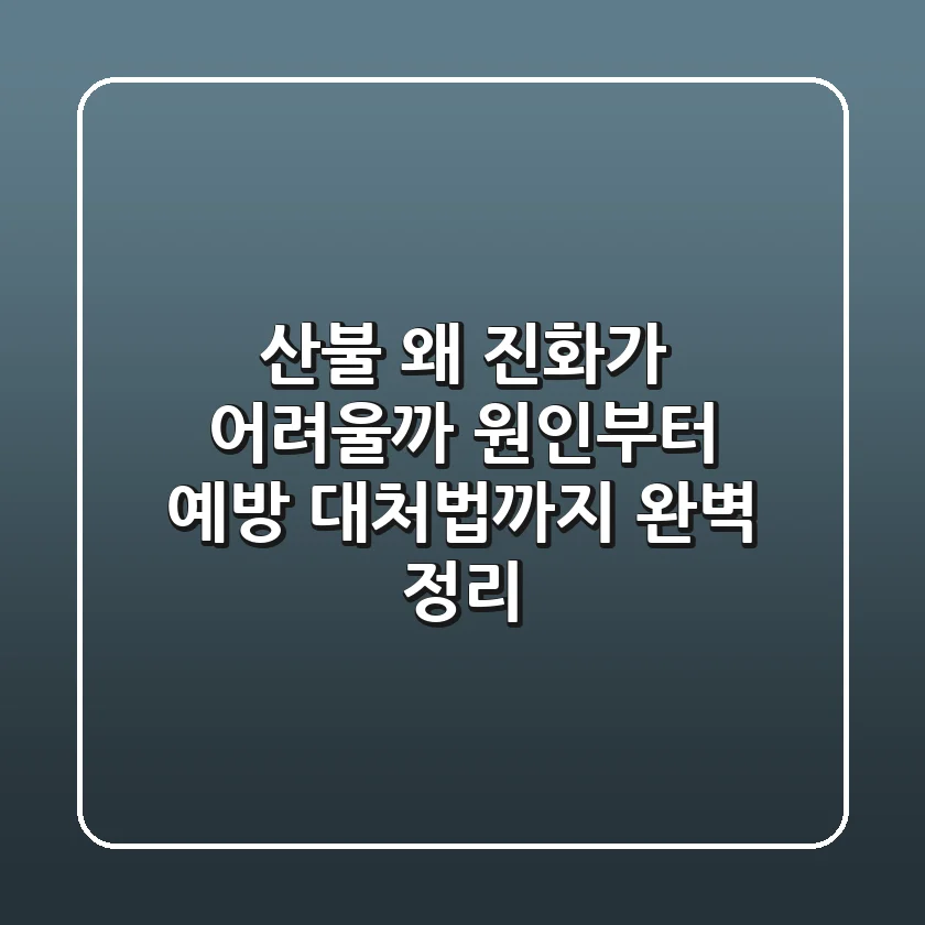 산불, 왜 진화가 어려울까? 원인부터 예방, 대처법까지 완벽 정리!
