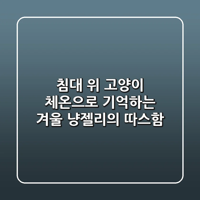 침대 위 고양이 체온으로 기억하는 겨울: 냥젤리의 따스함