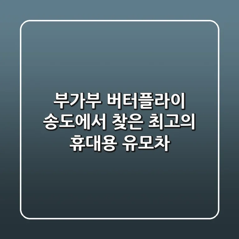 부가부 버터플라이: 송도에서 찾은 최고의 휴대용 유모차