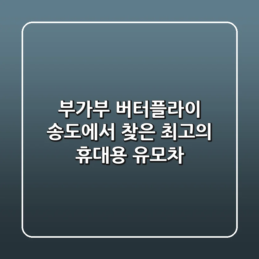 부가부 버터플라이: 송도에서 찾은 최고의 휴대용 유모차