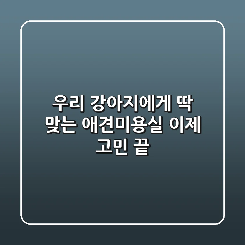 우리 강아지에게 딱 맞는 애견미용실? 이제 고민 끝!