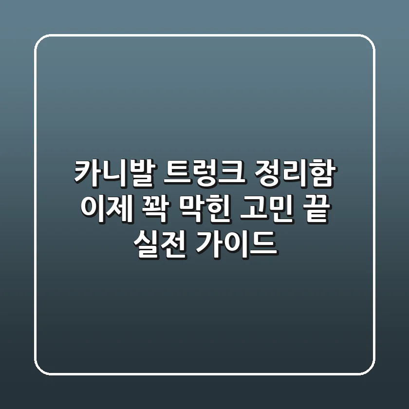 카니발 트렁크 정리함, 이제 꽉 막힌 고민 끝! 실전 가이드