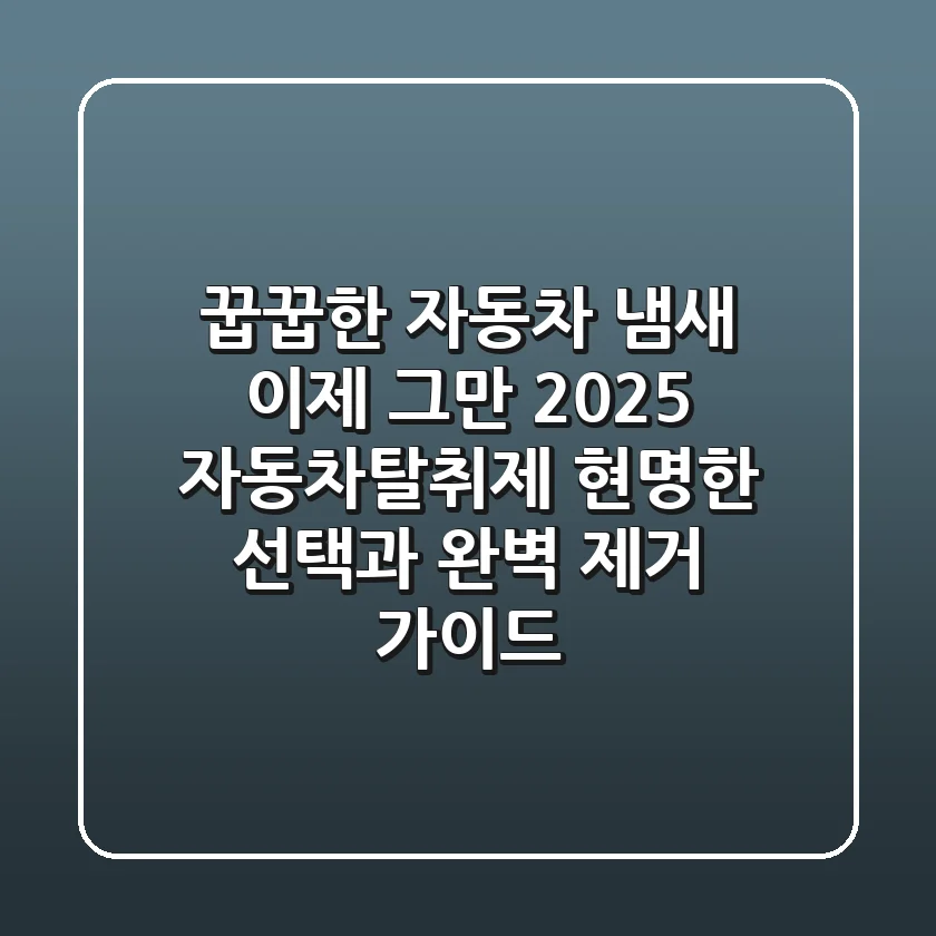 꿉꿉한 자동차 냄새, 이제 그만! 2025 자동차탈취제 현명한 선택과 완벽 제거 가이드