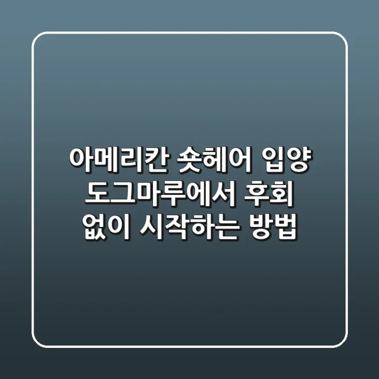 아메리칸 숏헤어 입양, 도그마루에서 후회 없이 시작하는 방법