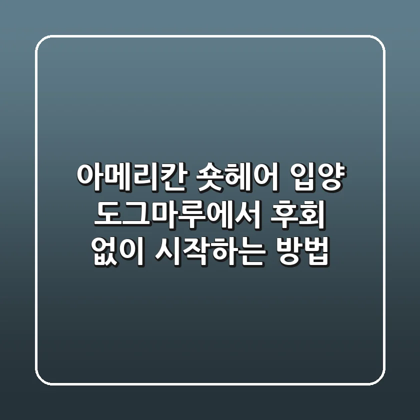 아메리칸 숏헤어 입양, 도그마루에서 후회 없이 시작하는 방법