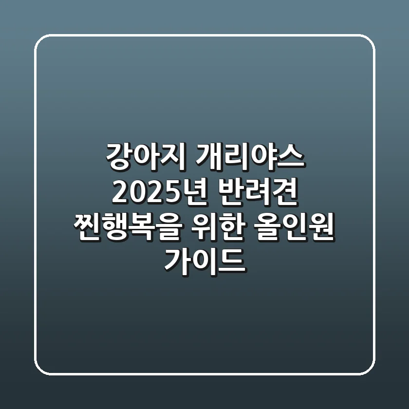 강아지 개리야스, 2025년 반려견 찐행복을 위한 올인원 가이드