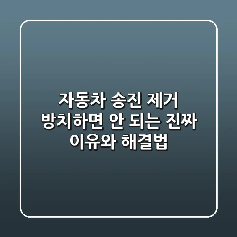 자동차 송진 제거, 방치하면 안 되는 진짜 이유와 해결법