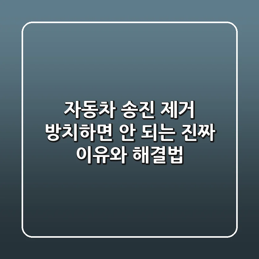 자동차 송진 제거, 방치하면 안 되는 진짜 이유와 해결법