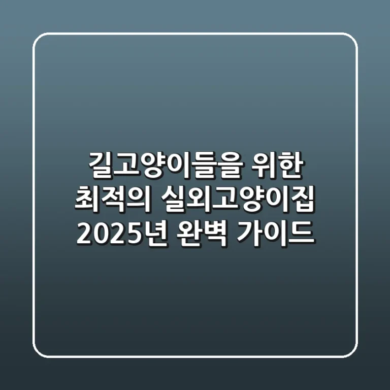 길고양이들을 위한 최적의 실외고양이집, 2025년 완벽 가이드