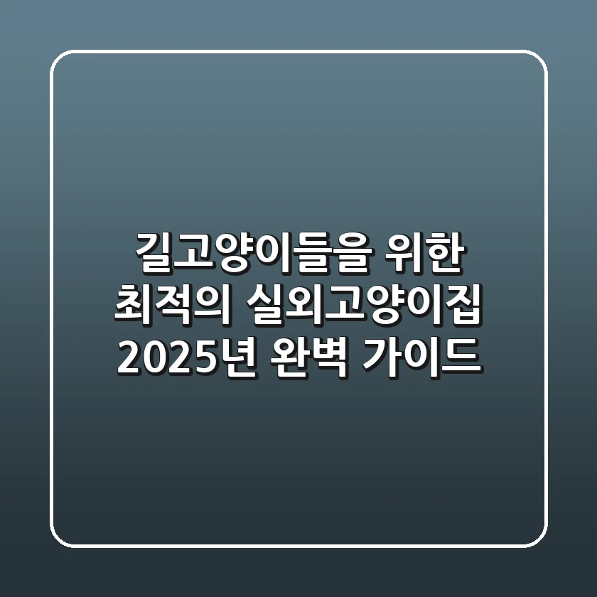 길고양이들을 위한 최적의 실외고양이집, 2025년 완벽 가이드