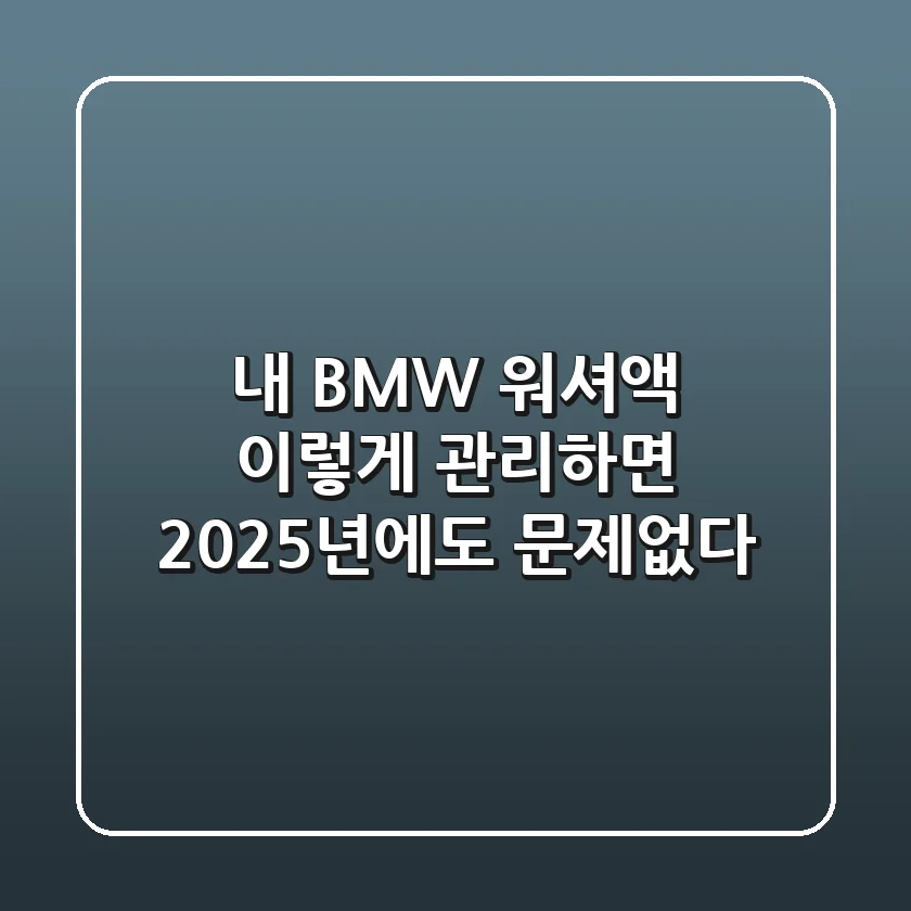 내 BMW 워셔액, 이렇게 관리하면 2025년에도 문제없다!