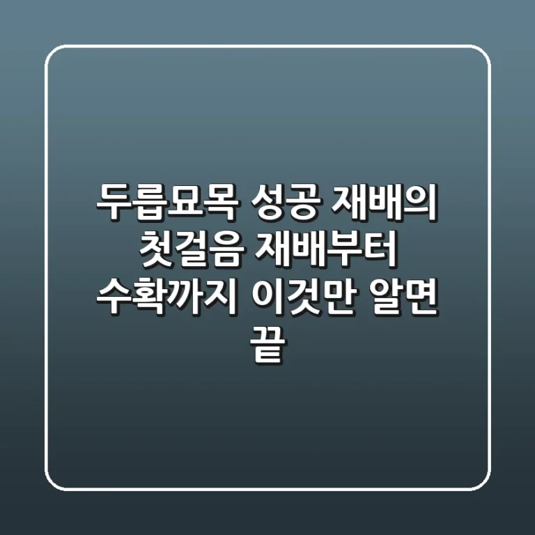 두릅묘목, 성공 재배의 첫걸음! 재배부터 수확까지 '이것'만 알면 끝