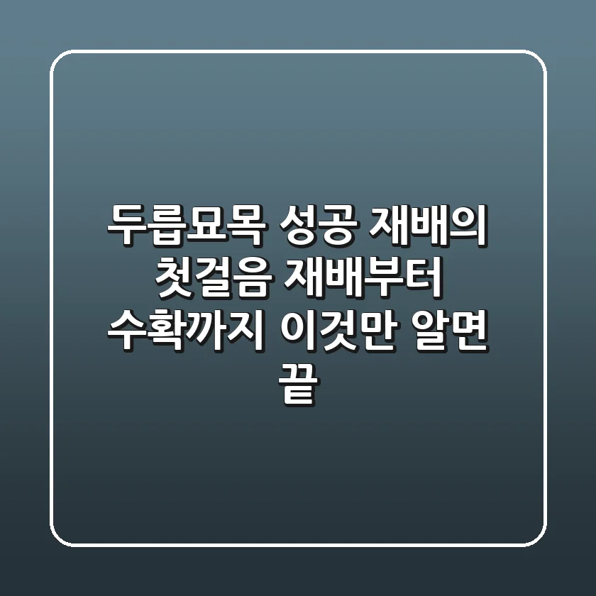 두릅묘목, 성공 재배의 첫걸음! 재배부터 수확까지 '이것'만 알면 끝