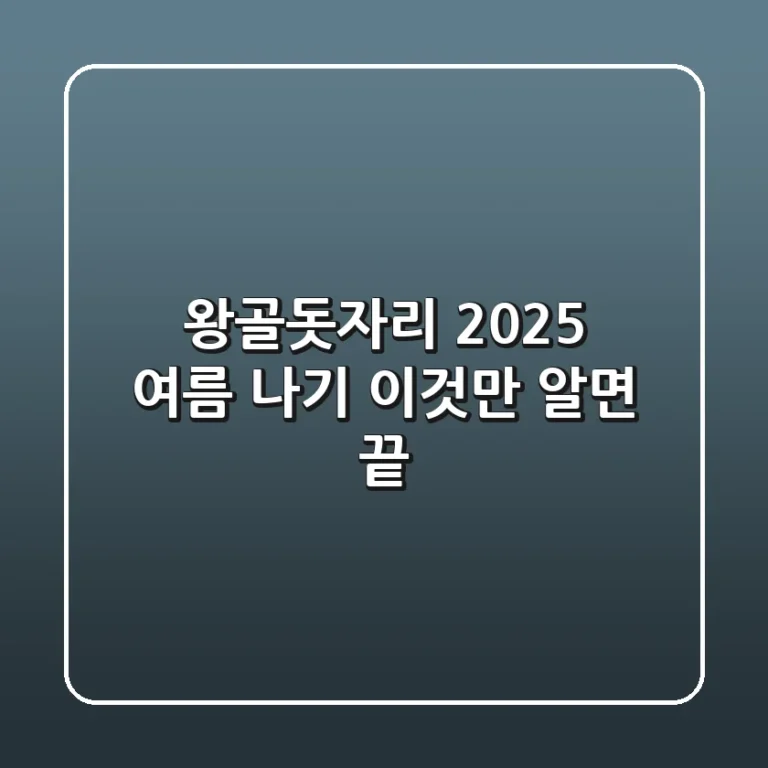 왕골돗자리, 2025 여름 나기 '이것'만 알면 끝!