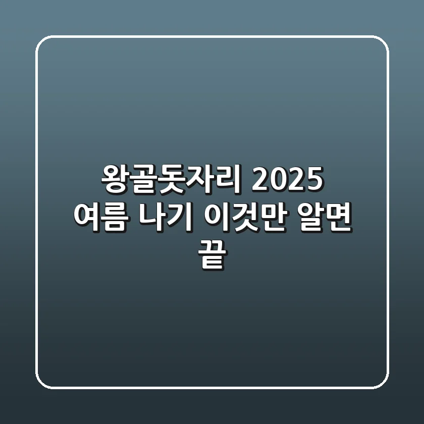 왕골돗자리, 2025 여름 나기 '이것'만 알면 끝!
