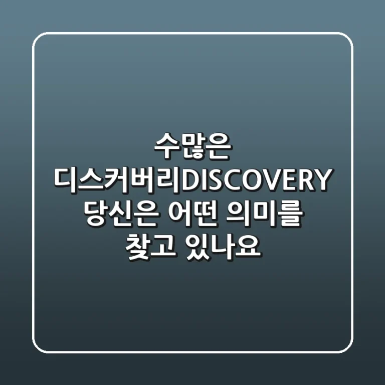 수많은 '디스커버리(DISCOVERY)', 당신은 어떤 의미를 찾고 있나요?