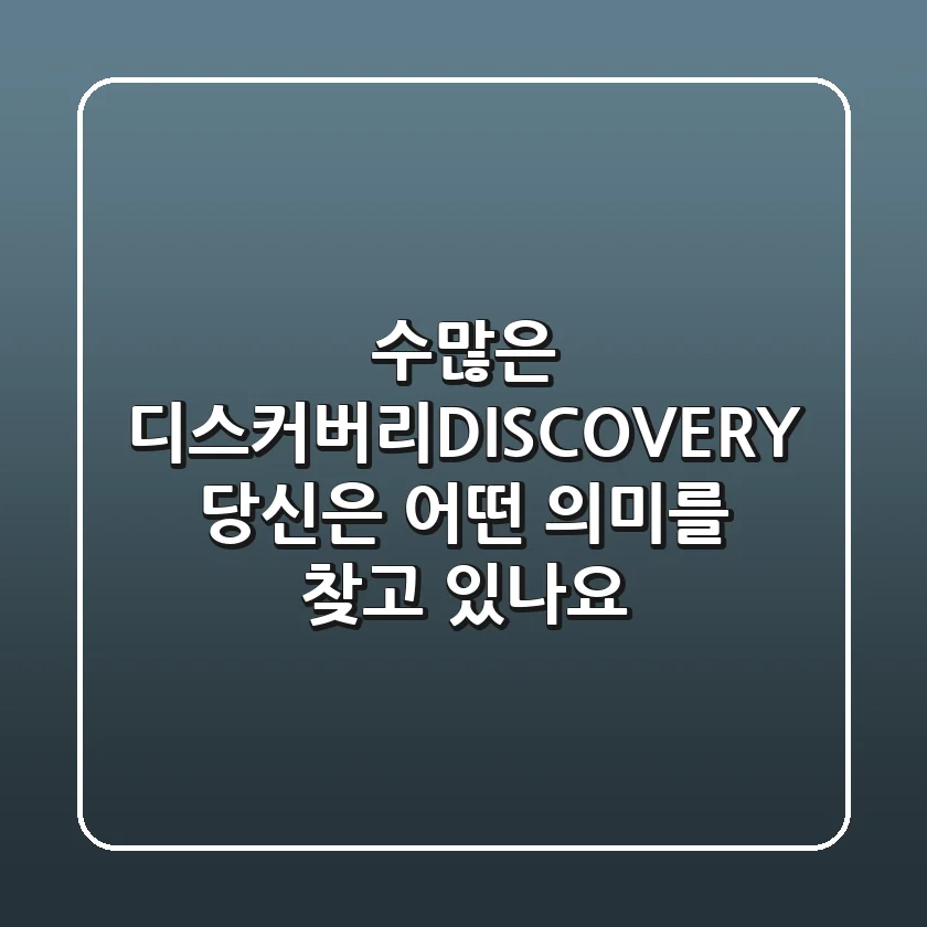 수많은 '디스커버리(DISCOVERY)', 당신은 어떤 의미를 찾고 있나요?