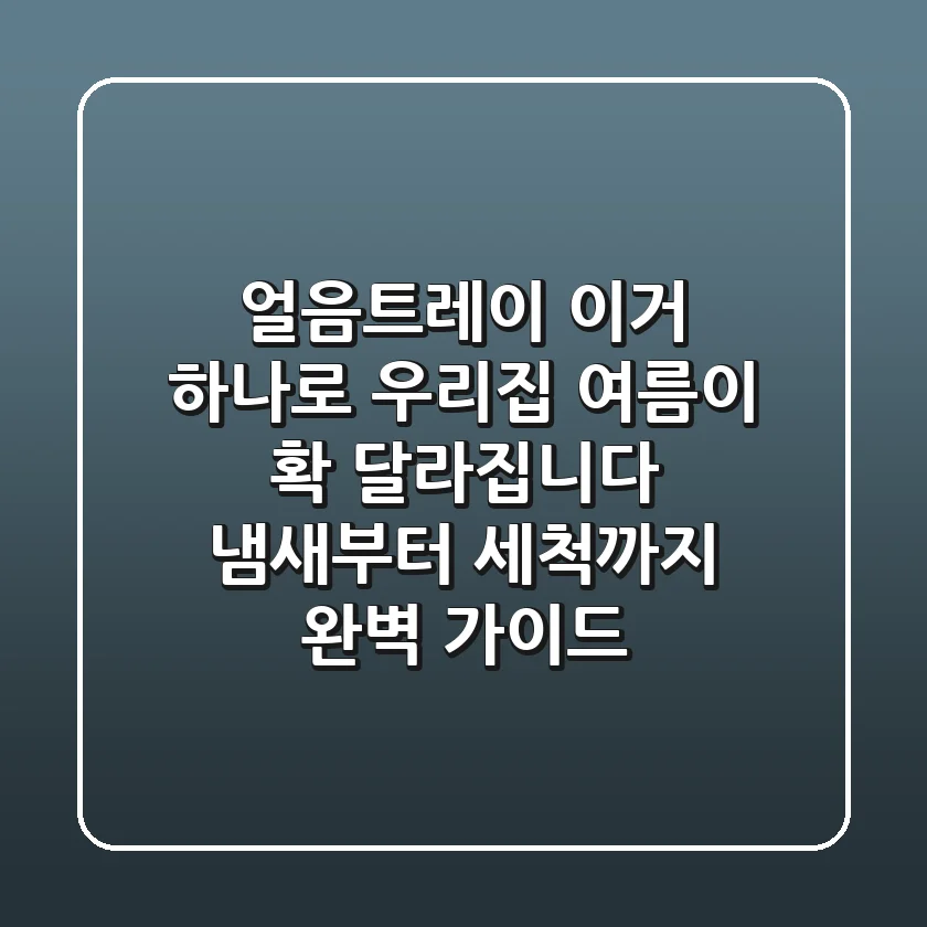 얼음트레이, 이거 하나로 우리집 여름이 확 달라집니다 (냄새부터 세척까지 완벽 가이드)