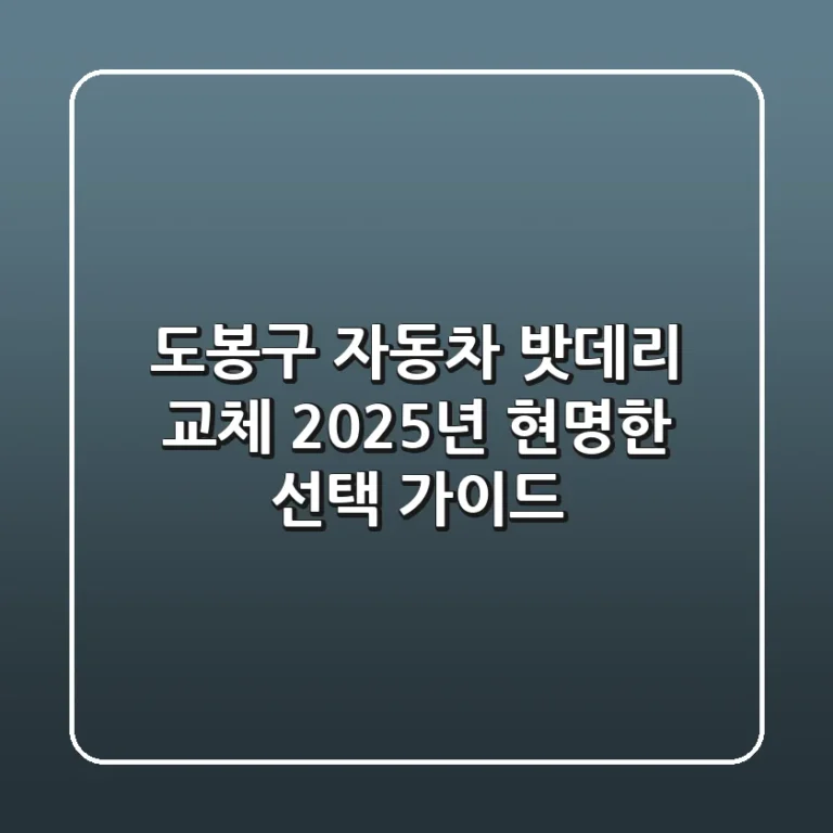 도봉구 자동차 밧데리 교체: 2025년 현명한 선택 가이드
