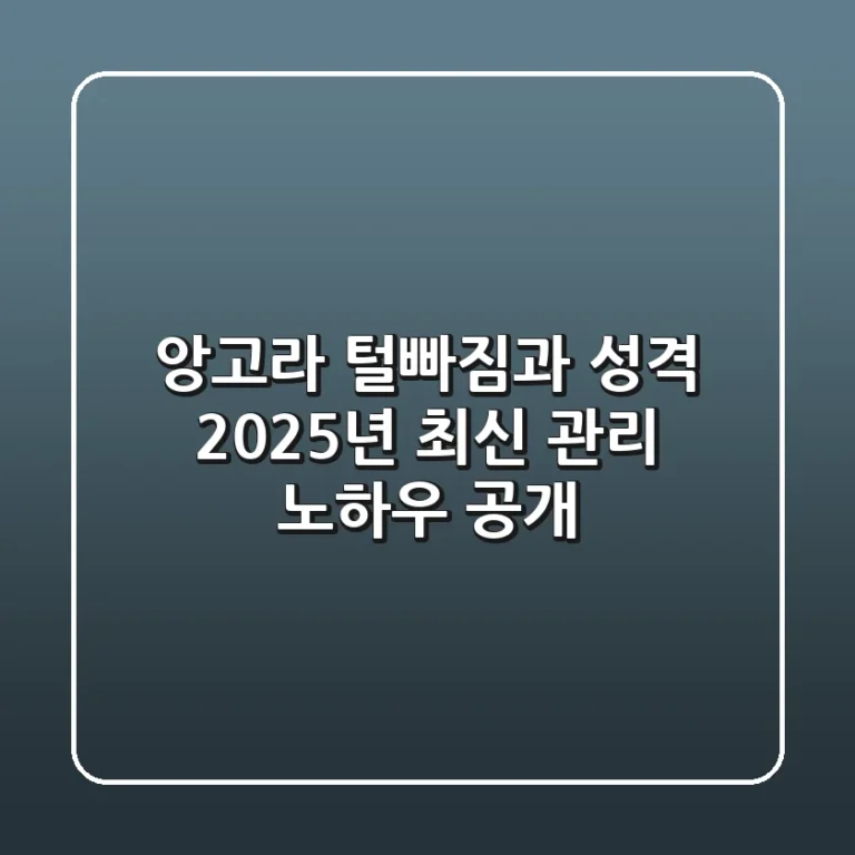 앙고라, 털빠짐과 성격? 2025년 최신 관리 노하우 공개