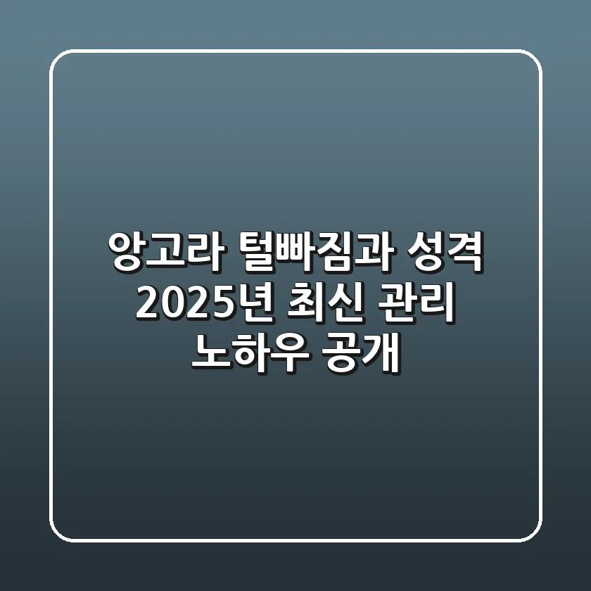 앙고라, 털빠짐과 성격? 2025년 최신 관리 노하우 공개