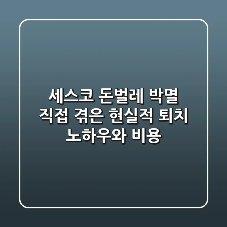 세스코 돈벌레 박멸? 직접 겪은 현실적 퇴치 노하우와 비용