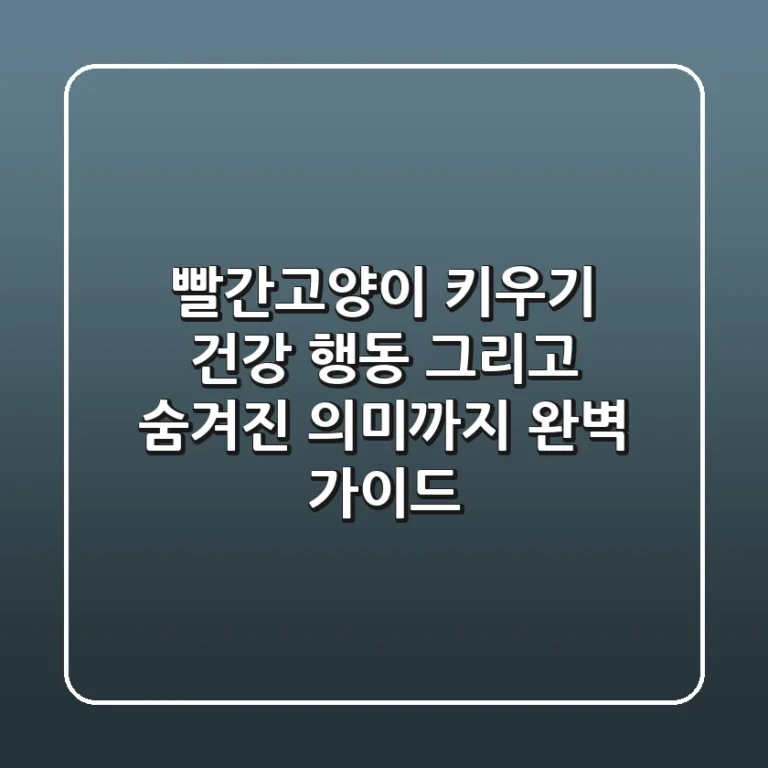 빨간고양이 키우기: 건강, 행동, 그리고 숨겨진 의미까지 완벽 가이드