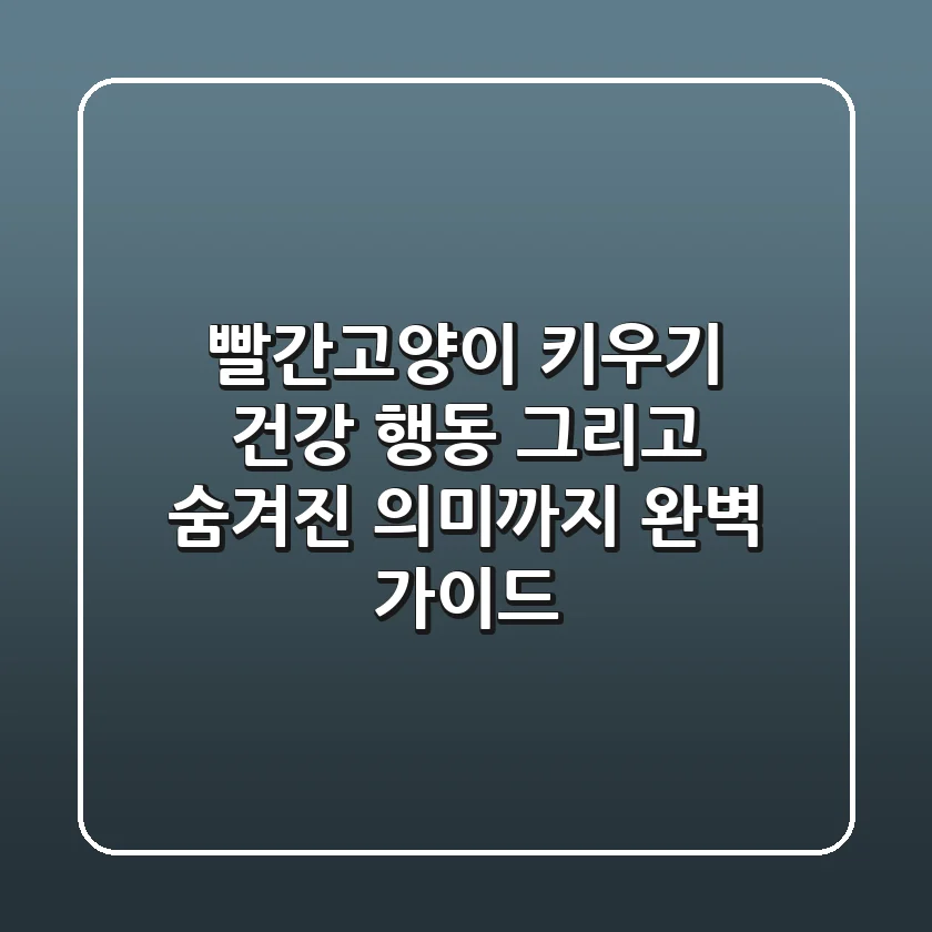 빨간고양이 키우기: 건강, 행동, 그리고 숨겨진 의미까지 완벽 가이드