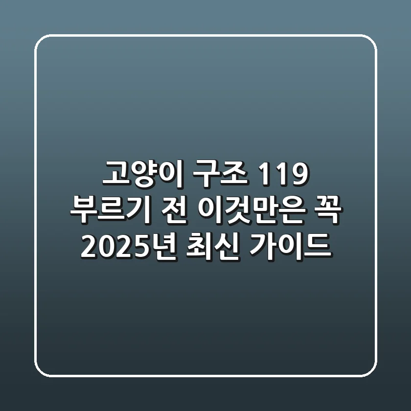 고양이 구조 119, 부르기 전 이것만은 꼭! (2025년 최신 가이드)