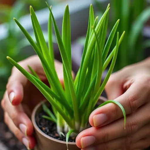 스마트 파테크를 위한 고급 전략: 전문가의 조언과 기술 활용