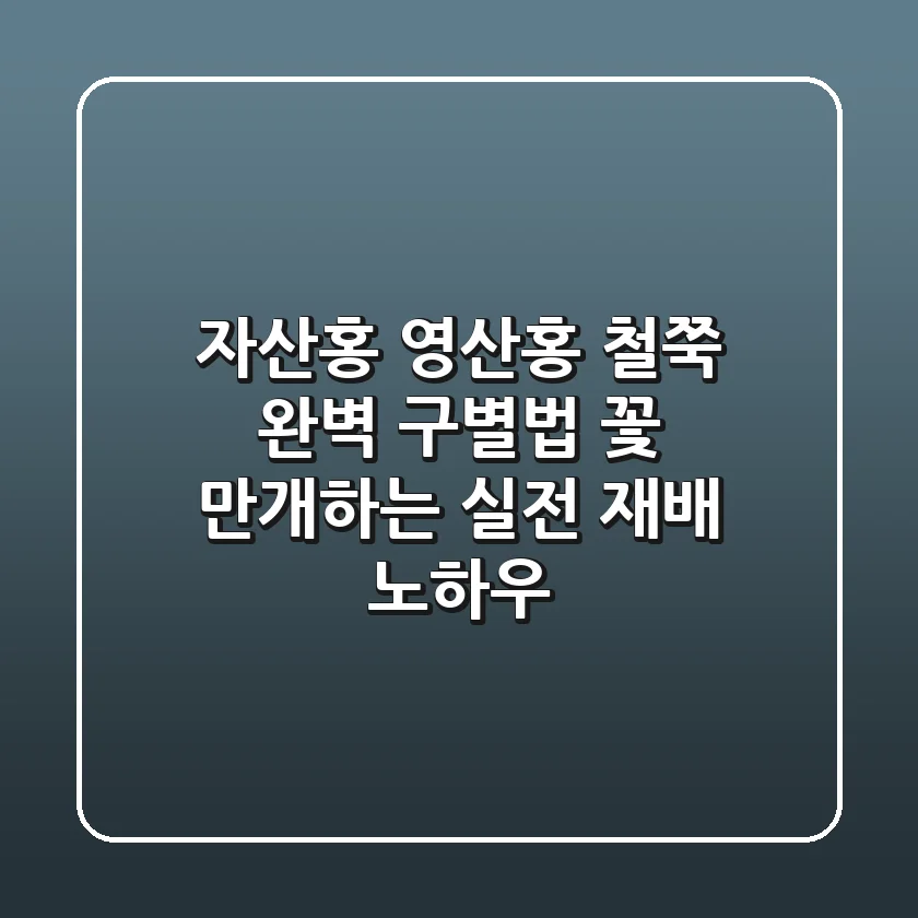 자산홍, 영산홍 철쭉 완벽 구별법! 꽃 만개하는 실전 재배 노하우