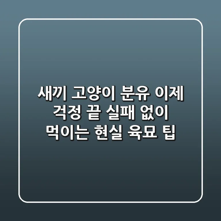 새끼 고양이 분유, 이제 걱정 끝! 실패 없이 먹이는 현실 육묘 팁