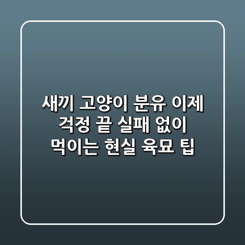 새끼 고양이 분유, 이제 걱정 끝! 실패 없이 먹이는 현실 육묘 팁