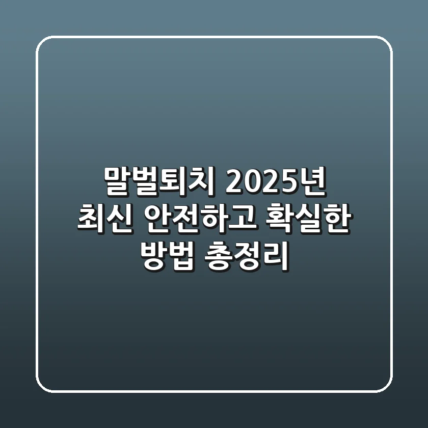 말벌퇴치, 2025년 최신! 안전하고 확실한 방법 총정리