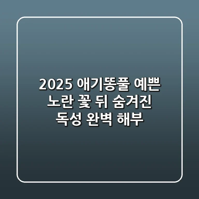 2025 애기똥풀, 예쁜 노란 꽃 뒤 숨겨진 '독'성 완벽 해부!