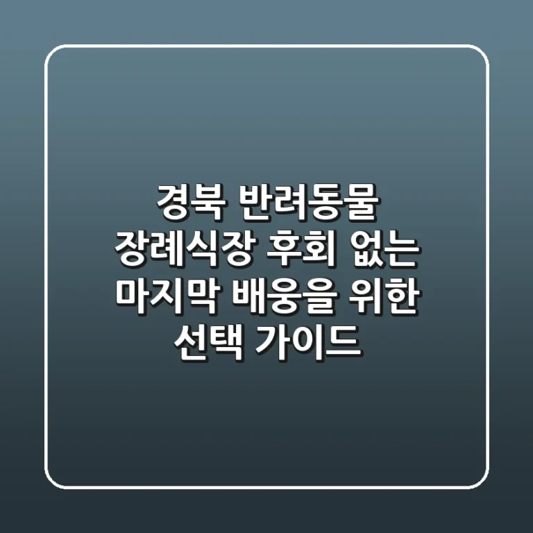 경북 반려동물 장례식장: 후회 없는 마지막 배웅을 위한 선택 가이드