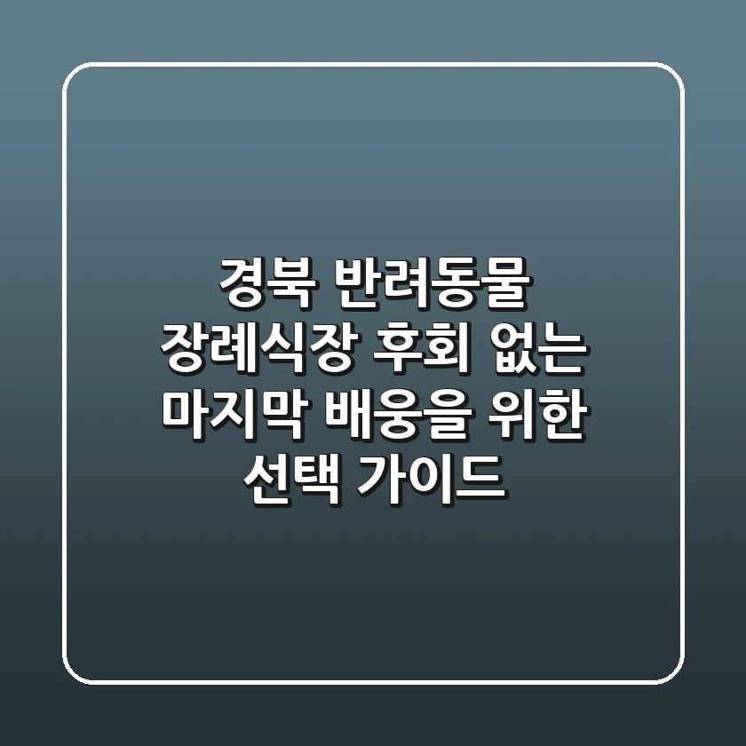경북 반려동물 장례식장: 후회 없는 마지막 배웅을 위한 선택 가이드